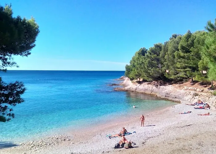 Apartament Valkane *